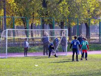 игры 10.05